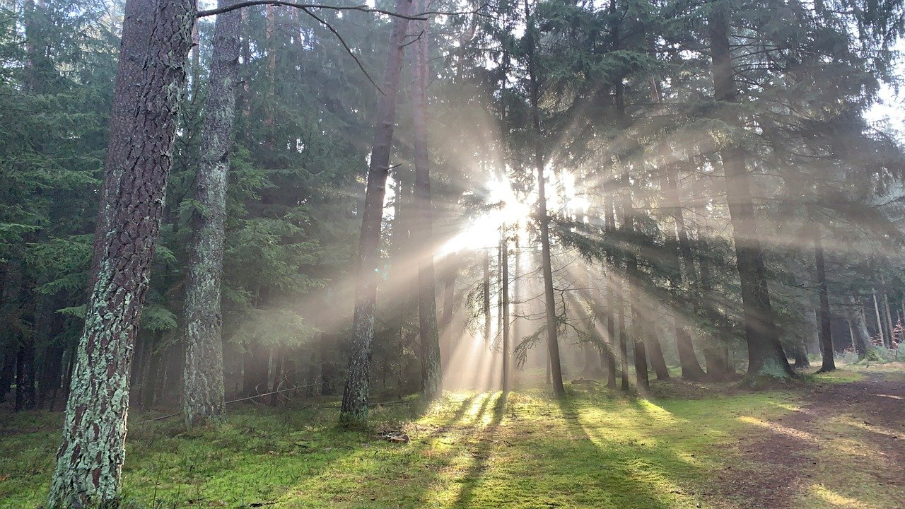 La Concentration des Entreprises